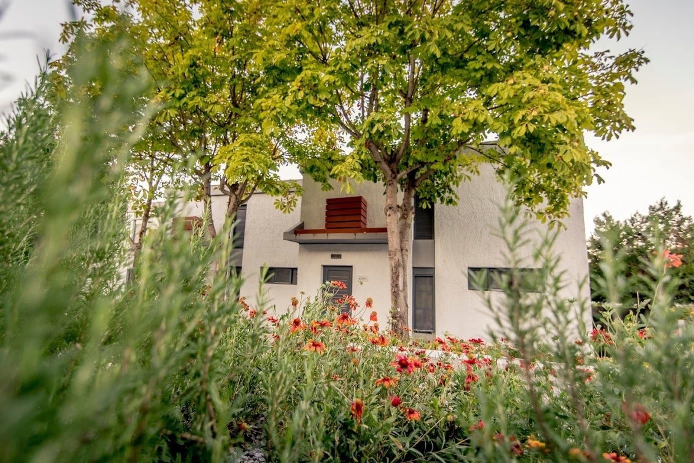 Pleiades Boutique Villas Kriopijí Kültér fotó